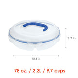 Divided Appetizer and Snack Container with Lid and Handle