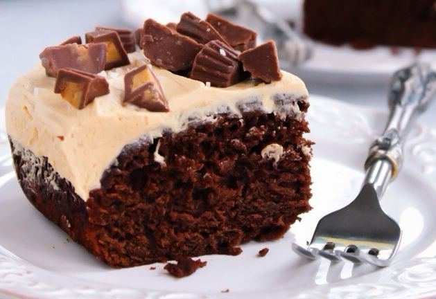Chocolate Peanut Butter Snack Cake