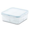 Tritan Airtight 29-oz Divided Square Container