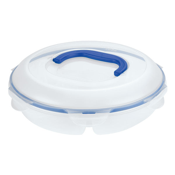 Divided Appetizer and Snack Container with Lid and Handle
