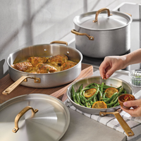 Stonewash Stainless Steel 5-Ply Clad 10-Piece Cookware Set