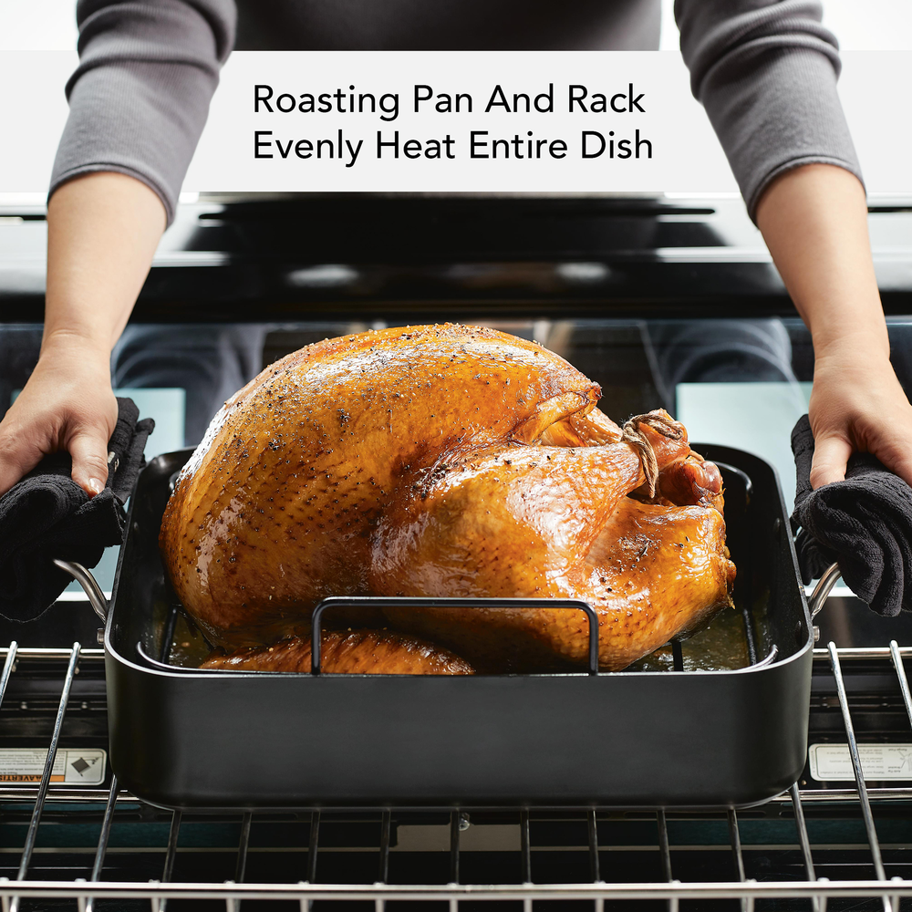Hard-Anodized Roaster with Removable Nonstick Rack – PotsandPans