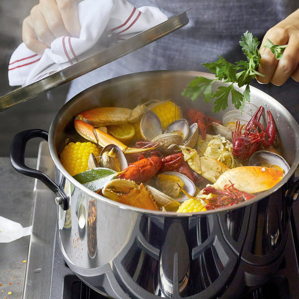 5-Ply Clad Stainless Steel 8-Quart Stockpot with Lid
